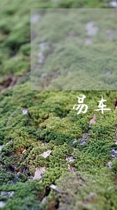 易车金融逾期会怎么样 易车金融逾期会怎么样