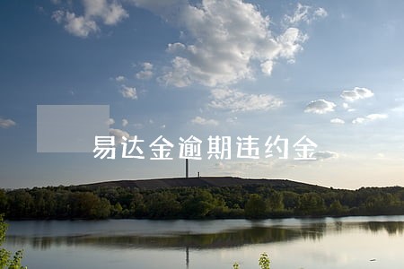 易达金逾期违约金 易达金逾期违约金