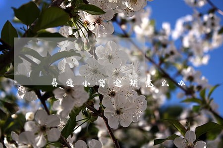 易通小贷逾期怎么办 易通小贷逾期怎么办