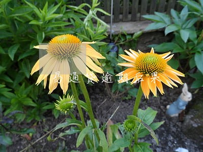 易通贷逾期后果