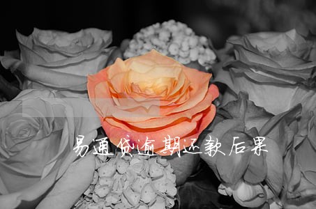 易通贷逾期还款后果 易通贷逾期还款后果