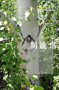 易速借钱逾期 易速借钱逾期