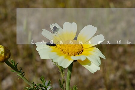 易邦管家无故发逾期短信 易邦管家无故发逾期短信
