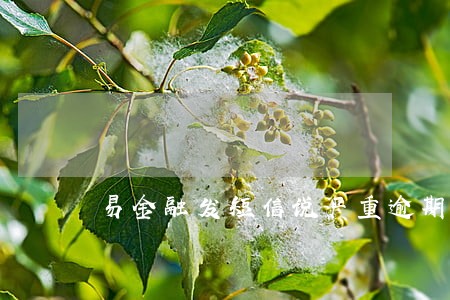 易金融发短信说严重逾期 易金融发短信说严重逾期