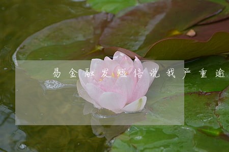 易金融发短信说我严重逾期 易金融发短信说我严重逾期