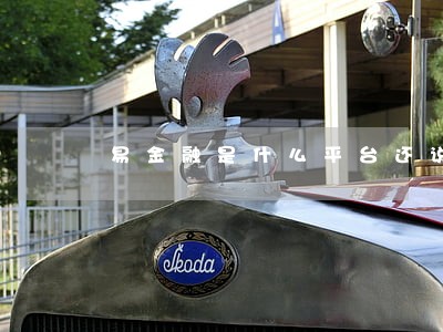 易金融是什么平台还说我逾期 易金融是什么平台还说我逾期