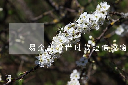 易金融没借过款短信说逾期 易金融没借过款短信说逾期