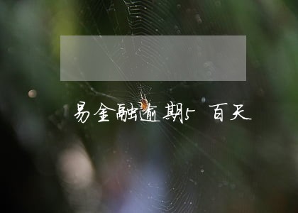 易金融逾期5百天 易金融逾期5百天