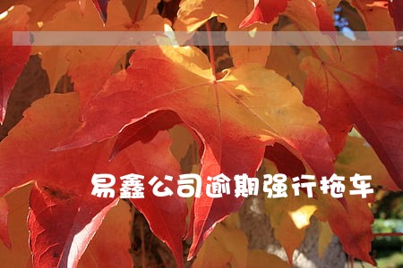 易鑫公司逾期强行拖车 易鑫公司逾期强行拖车