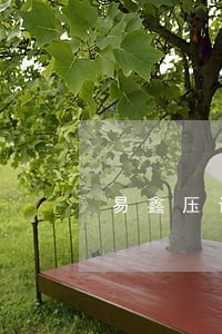 易鑫压证逾期多久拖车
