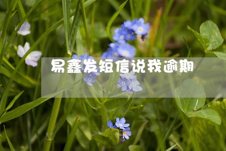 易鑫发短信说我逾期 易鑫发短信说我逾期