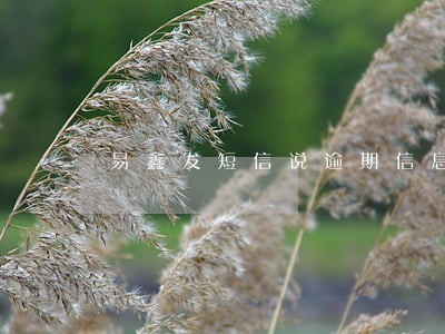 易鑫发短信说逾期信息已上报 易鑫发短信说逾期信息已上报