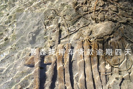 易鑫抵押车贷款逾期四天 易鑫抵押车贷款逾期四天