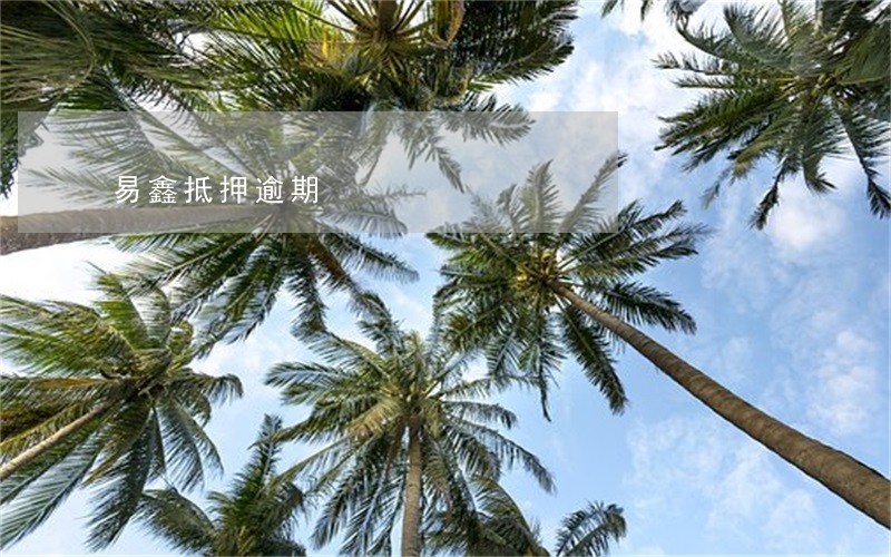 易鑫抵押逾期 易鑫抵押逾期