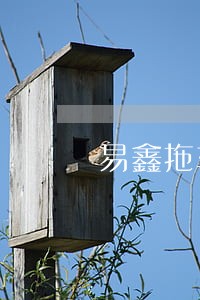 易鑫拖车再逾期 易鑫拖车再逾期