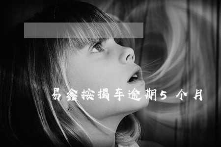 易鑫按揭车逾期5个月