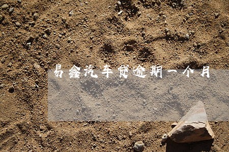 易鑫汽车贷逾期一个月