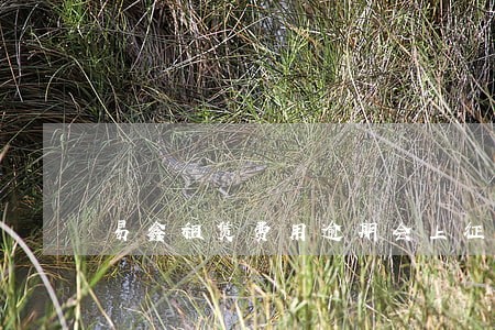 易鑫租赁费用逾期会上征信吗 易鑫租赁费用逾期会上征信吗