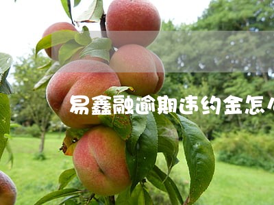 易鑫融逾期违约金怎么算的