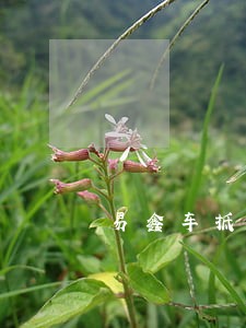 易鑫车抵押贷款逾期后 易鑫车抵押贷款逾期后
