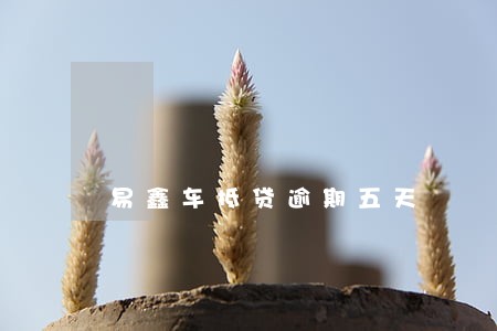 易鑫车抵贷逾期五天 易鑫车抵贷逾期五天