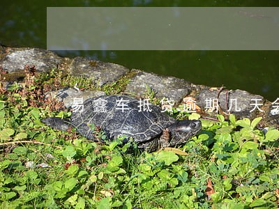 易鑫车抵贷逾期几天会拖车 易鑫车抵贷逾期几天会拖车