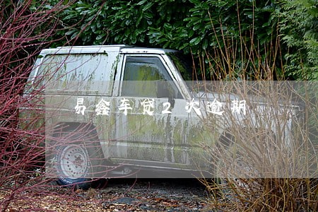 易鑫车贷2次逾期 易鑫车贷2次逾期