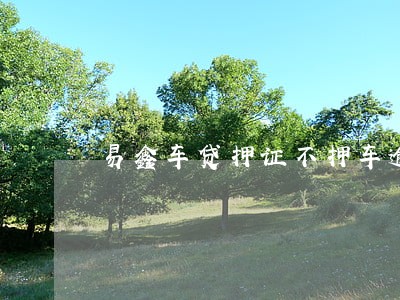 易鑫车贷押证不押车逾期 易鑫车贷押证不押车逾期
