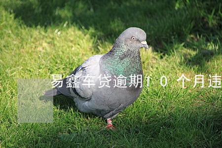 易鑫车贷逾期10个月违约金 易鑫车贷逾期10个月违约金