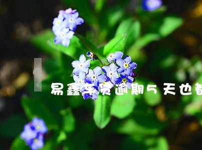 易鑫车贷逾期5天也都办