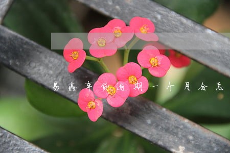 易鑫车贷逾期一个月会怎么样 易鑫车贷逾期一个月会怎么样