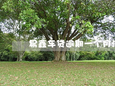 易鑫车贷逾期一个月没有还 易鑫车贷逾期一个月没有还