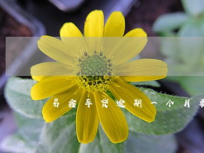 易鑫车贷逾期一个月要面谈 易鑫车贷逾期一个月要面谈