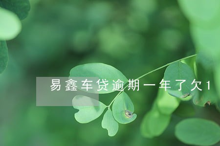 易鑫车贷逾期一年了欠1万多 易鑫车贷逾期一年了欠1万多