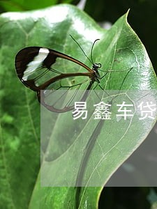 易鑫车贷逾期上征信不 易鑫车贷逾期上征信不
