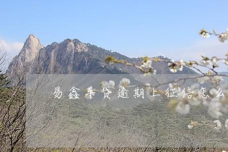 易鑫车贷逾期上征信怎么办 易鑫车贷逾期上征信怎么办