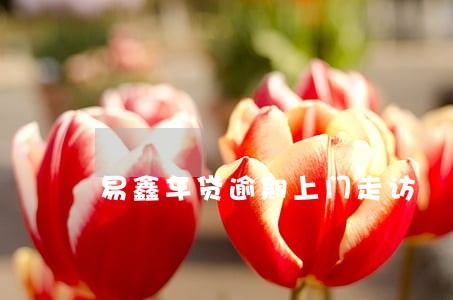 易鑫车贷逾期上门走访 易鑫车贷逾期上门走访