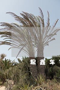 易鑫车贷逾期不还 易鑫车贷逾期不还