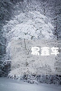 易鑫车贷逾期两个月该怎么处理 易鑫车贷逾期两个月该怎么处理