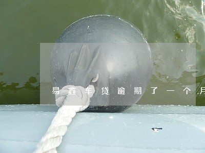 易鑫车贷逾期了一个月 易鑫车贷逾期了一个月