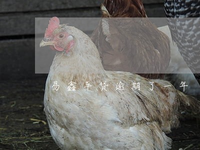 易鑫车贷逾期了一年 易鑫车贷逾期了一年
