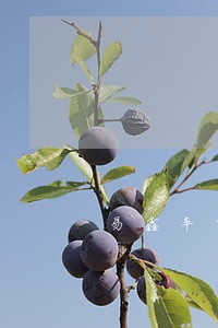 易鑫车贷逾期了拖车费是多少 易鑫车贷逾期了拖车费是多少