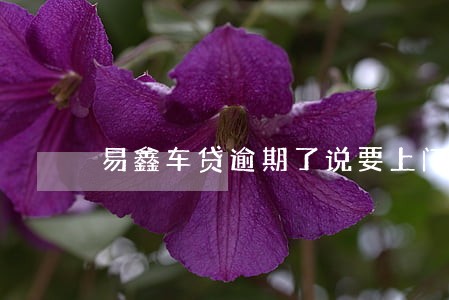 易鑫车贷逾期了说要上门了解情况 易鑫车贷逾期了说要上门了解情况