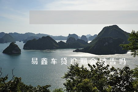 易鑫车贷逾期会被告吗 易鑫车贷逾期会被告吗