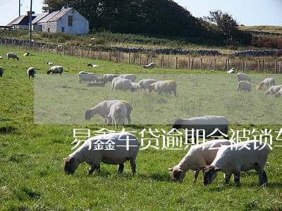 易鑫车贷逾期会被锁车吗 易鑫车贷逾期会被锁车吗