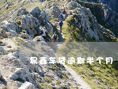 易鑫车贷逾期半个月