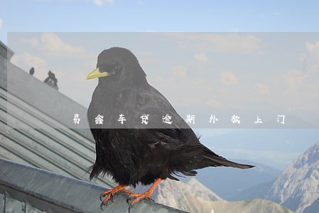 易鑫车贷逾期外放上门 易鑫车贷逾期外放上门
