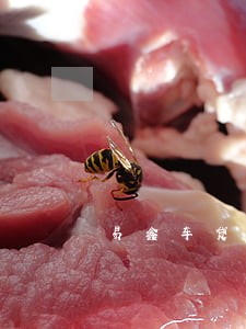 易鑫车贷逾期安排人上门核实情况 易鑫车贷逾期安排人上门核实情况