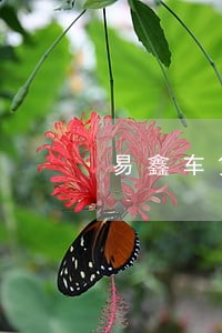 易鑫车贷逾期没钱还 易鑫车贷逾期没钱还