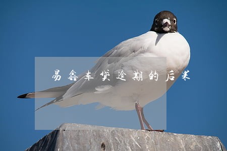 易鑫车贷逾期的后果 易鑫车贷逾期的后果